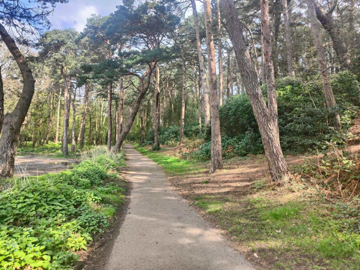 Peaceful Getaway In Forested Park 본머스 외부 사진